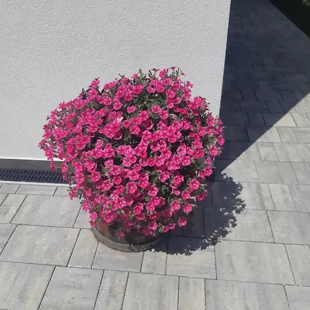 Apartment Papillon I Dolce *