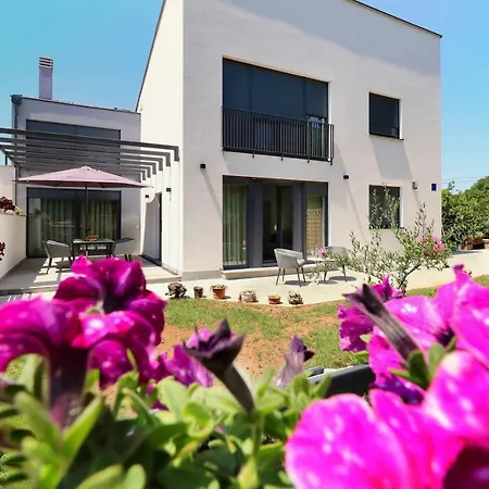 Papillon I Dolce Apartment *